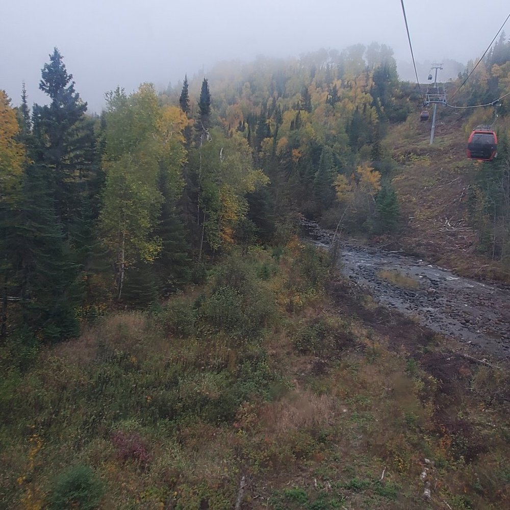 Meet your Posher,Alyssa